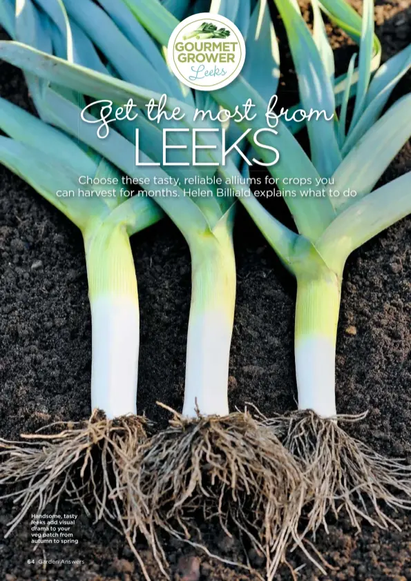  ??  ?? Handsome, tasty leeks add visual drama to your veg patch from autumn to spring