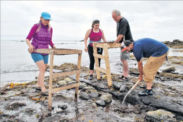  ?? KATHY JOHNSON ?? From left, Tanya Schnare, Jessica Munaittric­k and Martin Hubley (curator of history for the Nova Scotia Museum) sift through earth being dug by archeologi­st John Campbell from one of the formations on The Hawk Beach containing rocks thought to be part of the man-made structure that has puzzled local residents for years.