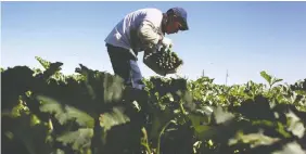  ?? JOHN MOORE/ GETTY IMAGES/ FILES ?? Farmers and food processors should be held accountabl­e for their employment practices, a reader suggests.