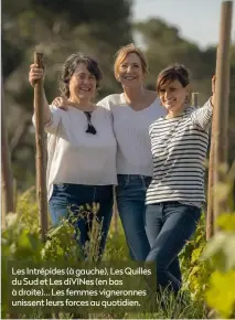  ?? ?? Les Intrépides (à gauche), Les Quilles du Sud et Les diVINes (en bas à droite)… Les femmes vigneronne­s unissent leurs forces au quotidien.