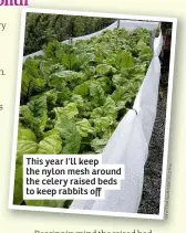  ??  ?? This year I'll keep the nylon mesh around the celery raised beds to keep rabbits off