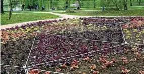  ??  ?? Wege, Wasser und alte Bäume: Der Parkcharak­ter der Anlage wurde bei der Gestaltung der Gartenscha­ufläche bewahrt.