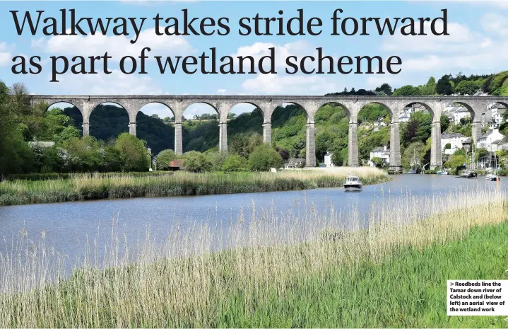  ?? Charlie Elder ?? > Reedbeds line the Tamar down river of Calstock and (below left) an aerial view of the wetland work