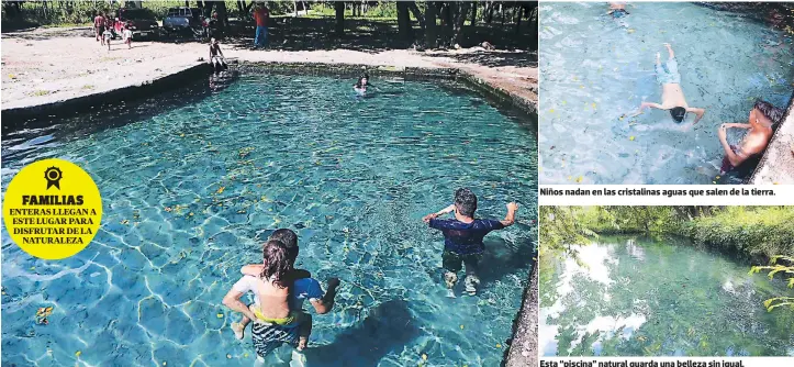  ??  ?? FAMILIAS enteras llegan a este lugar para disfrutar de la naturaleza Niños nadan en las cristalina­s aguas que salen de la tierra. Esta “piscina” natural guarda una belleza sin igual.