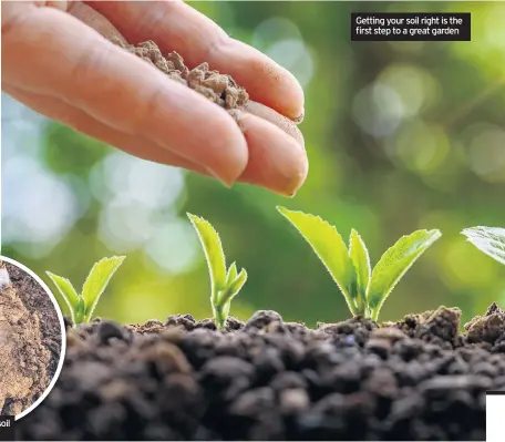  ??  ?? Getting your soil right is the first step to a great garden