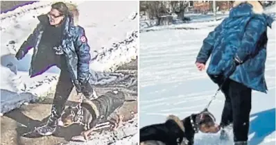  ?? TORONTO POLICE SERVICE Toronto police released these photos of a woman with a dog that attacked a child last Saturday in Little Norway Park. ??