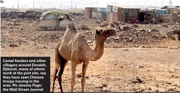 ??  ?? Camel herders and other villagers around Doraleh, Djibouti, many of whom work at the port site, say they have seen Chinese troops moving in the area. Pic Jeremy Page/ the Wall Street Journal