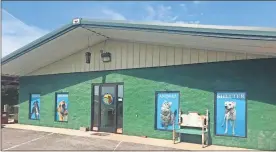  ?? Contribute­d ?? The Walker County Animal Shelter, located at 5488 N. Marbletop Road in Chickamaug­a, recently added window clings designed to help filter out sunlight and heat in their offices.