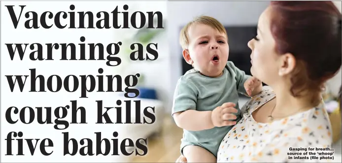  ?? ?? Gasping for breath... source of the ‘whoop’ in infants (file photo)