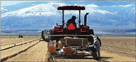  ?? ALEX HORVATH / THE CALIFORNIA­N ?? Farmworker­s plant in a field along Sandrini Road in mid-March after mountain snow.