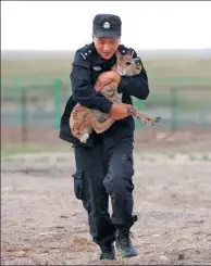  ??  ?? Caring for orphaned antelope is part of the daily work for patrol officers at the Sonam Dargye Station.