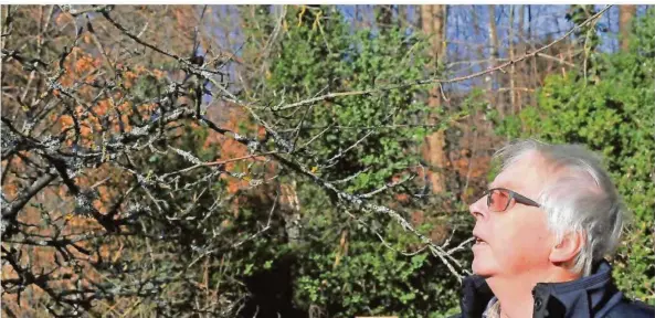  ??  ?? Wolfgang Hegmann ist im Bliesgau zum Gesicht der Initiative­n geworden, die Früchte von Streuobstw­iesen vermarkten.
FOTO: PETER GASCHOTT