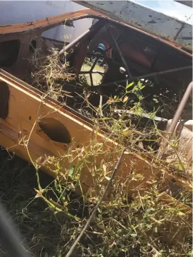  ??  ?? While cycling a trail in outer Melbourne, my son and I came across what looks like a Torana SS hatchback. It appears to be an abandoned speedway project. Cheers, Steve