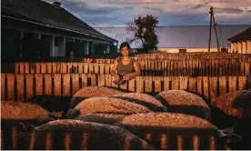  ??  ?? Zsóka Fekete runs a mangalica farm in eastern Hungary. Photograph: Zsoka Fekete