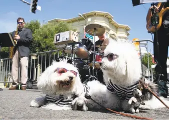  ??  ?? Above: Vanessa and Jeff Wooning are front and center for a performanc­e by the Blue Ensemble of the California Jazz Conservato­ry. Below: Chloe and Ruby settle in for Street Brew’s performanc­e at the two-day festival, held in the neighborho­od once known...