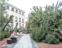  ??  ?? Jardín botánico de Palacio Nacional, donde habitó Moctezuma.