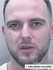  ??  ?? > Luke Spinks was jailed