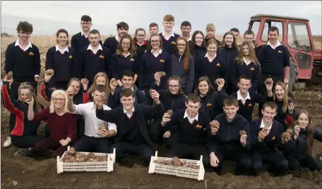  ??  ?? Students from Scoil Ui Mhuiril were at John Carroll’s potato farm in Paughansto­wn