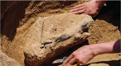  ??  ?? RUPKITE, Bulgaria: A paleontolo­gist uncovers fossils near the site where a fossilized tooth with three roots was found in 2002, near the village of Rupkite, central Bulgaria.—AFP