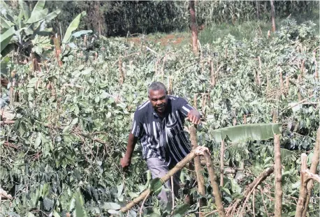  ?? Reuters African News Agency (ANA) ?? ON THE outskirts of Nairobi, vast tracts of agricultur­al land are seeing a new type of growth, as steel rods and concrete pillars set into the red earth reach into the Kenyan sky. More than 6 900 hectares of farmland that was home to coffee bushes and cattle is being turned into satellite cities. | GEORGE MULALA