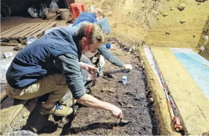  ??  ?? Researcher­s engage in excavation­s at Bacho Kiro Cave where Homo sapiens bones dating back about 45,000 years were recovered along with a rich stone tool assemblage, animal bones, bone tools and pendants near Dryanovo, Bulgaria, in an undated picture released May 11, 2020.