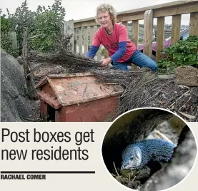  ??  ?? Lorraine Adams has repurposed old post boxes as nesting boxes.