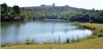  ??  ?? “Ons is baie gelukkig om twee opgaardamm­e in die Sabani-rivier op ons grond te hê. Al ons boorde word uit hierdie twee damme besproei,” sê Steyn.