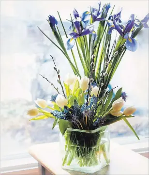  ?? THERESA FORTE SPECIAL TO THE REVIEW ?? Locally-grown spring flowers bring the promise of spring to a winter windowsill.
