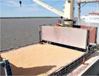  ??  ?? Exportació­n. Un barco, cargando en el Paraná. Los costos de los fletes son un peso importante hoy.