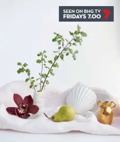  ??  ?? SEEN ON BHG TV FRIDAYS 7.00