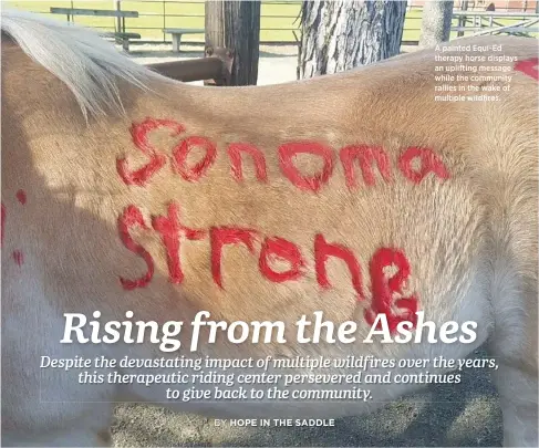  ?? ?? A painted Equi-Ed therapy horse displays an uplifting message while the community rallies in the wake of multiple wildfires.