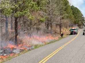  ?? Submitted photo ?? ■ A worker with the U.S. Forest Service lights a prescribed burn in the Posey Hollow Area in the Ouachita National Forest. Photo is courtesy of Darwin Bult of the U.S. Forest Service.