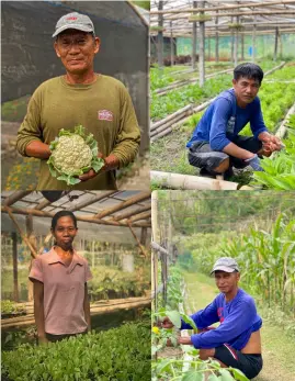  ?? ?? Some of the farmers that contribute to Teraoka Family Farm’s success: Mang Boy Arellano, Marco Goat, Ricky Goat, and Irene Goat.