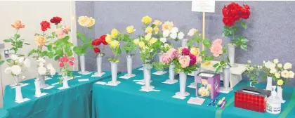  ?? Photos / Kate Durie ?? The public competitio­n with roses from their garden.