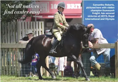  ??  ?? Samantha Roberts, pictured here with ridden champion KnavesashK­night, has secured victories at HOYS, Royal Internatio­nal and Olympia