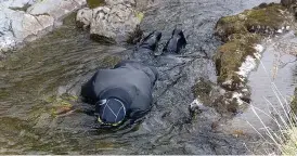  ?? Pictures: PICTUREEXC­LUSIVE.COM ?? Treasure hunters lie in water in dry suits in a technique called ‘sniping’