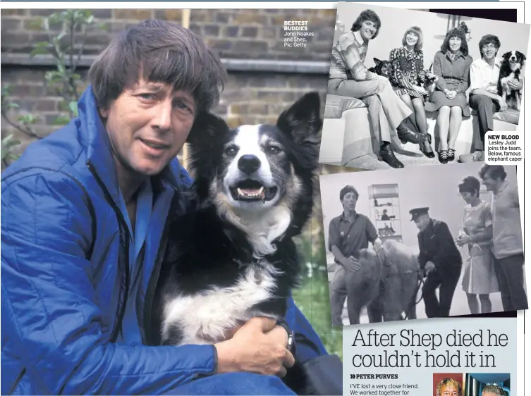  ??  ?? BESTEST BUDDIES John Noakes and Shep. Pic: Getty NEW BLOOD Lesley Judd joins the team. Below, famous elephant caper