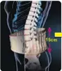  ??  ?? Dr. Back Belt helps stretch the lumbar vertebrae to provide clinical grade traction in the comfort of your own home.