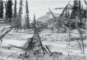  ??  ?? Benedikt Partenheim­er: „Drunken Trees on Thermokars­t Lake“, Alaska, 2017.