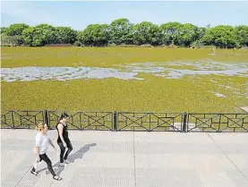  ??  ?? 3
Rambla. Vista a la Laguna de los Coipos de la Reserva Ecológica desde este paseo, con pérgola, banquitos y árboles, en la Costanera Sur.