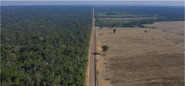  ?? Bild: Leo Correa ?? Blackstone äger bland annat brasilians­ka Hidrovias do Brasil, ett företag som varit med och byggt hundratals mil lång motorväg genom Amazonas.