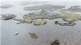  ??  ?? Above: An aerial photo of some of the 100 islands studied by the researcher­s. Below: A Cychrus tuberculat­us 1, left, and a black oystercatc­her.