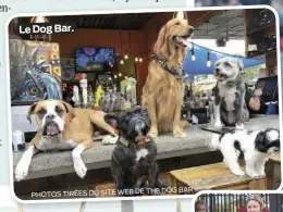  ?? ?? Le Dog Bar.