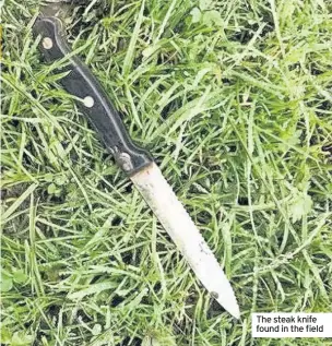  ??  ?? The steak knife found in the field