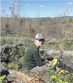  ??  ?? Lisa Wood, an assistant professor at the University of Northern B.C., is the author of a study on the impact of aerial spraying of the herbicide glyphosate.