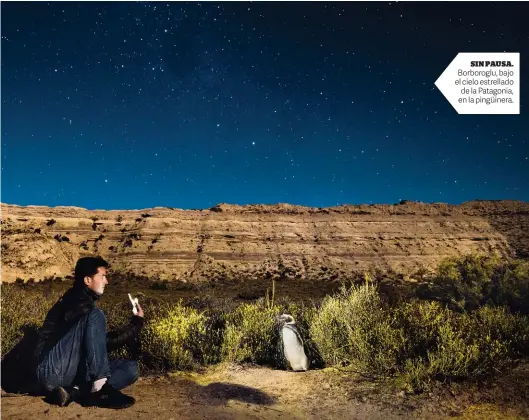  ??  ?? SIN PAUSA. Borboroglu, bajo el cielo estrellado de la Patagonia, en la pingüinera.