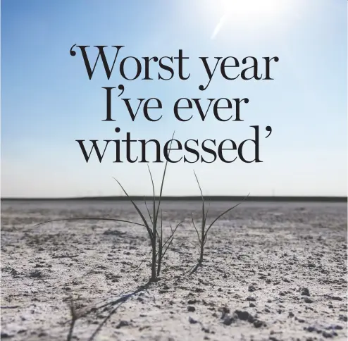  ?? MIKE DREW / POSTMEDIA ?? Wetland west of Vulcan, Alta., is dried up by the hot, dry summer. Unpreceden­ted temperatur­es have stunted crops.