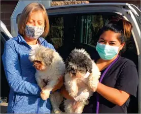  ?? COURTESY PHOTO ?? Bonnie and Clyde, two Shih Tzus abandoned in a box at Stray Hearts, pictured here with transfer volunteer Deb Neilson, left, and Stray Hearts Kennel Manager Carissa Fernandez.