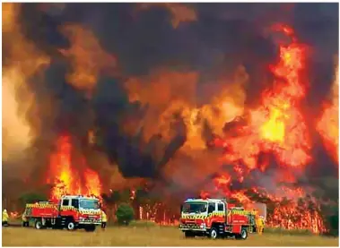  ??  ?? Towering inferno: Flames dwarf firemen and their trucks at Charmhaven, north of Sydney