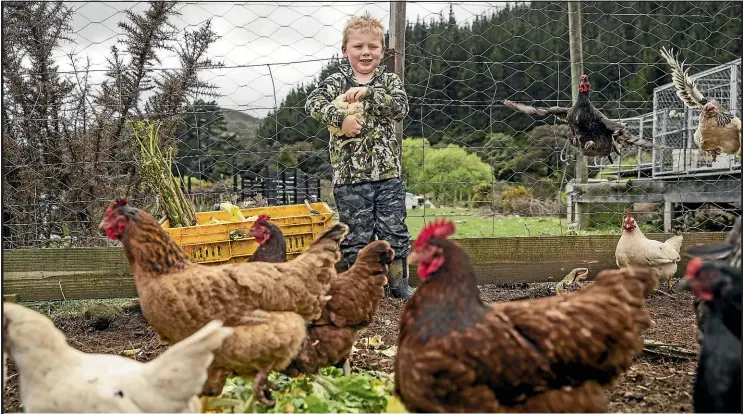  ?? BRADEN FASTIER/STUFF ?? Archie Nightingal­e, 5, has had people taking his eggs without paying for them from his roadside stall in the Whangamoas, north of Nelson.